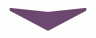 Purple Glider