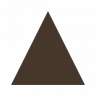 Triangular Pine Roof